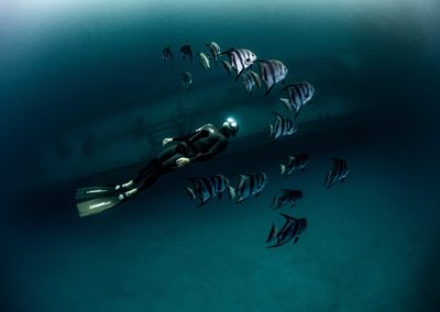 Made in Water Photography - Fish - Diver - Underwater - Photo shoot - Bahamas
