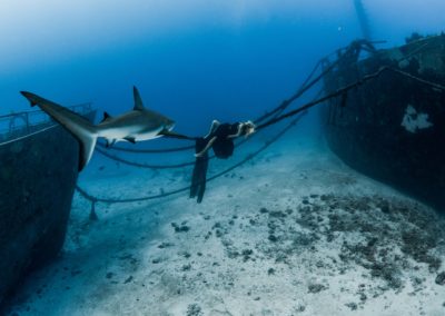 Made in Water Photography - Shark - Mermaid - Underwater - Photo shoot - Bahamas