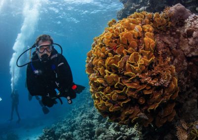 Scuba Diving Bahamas