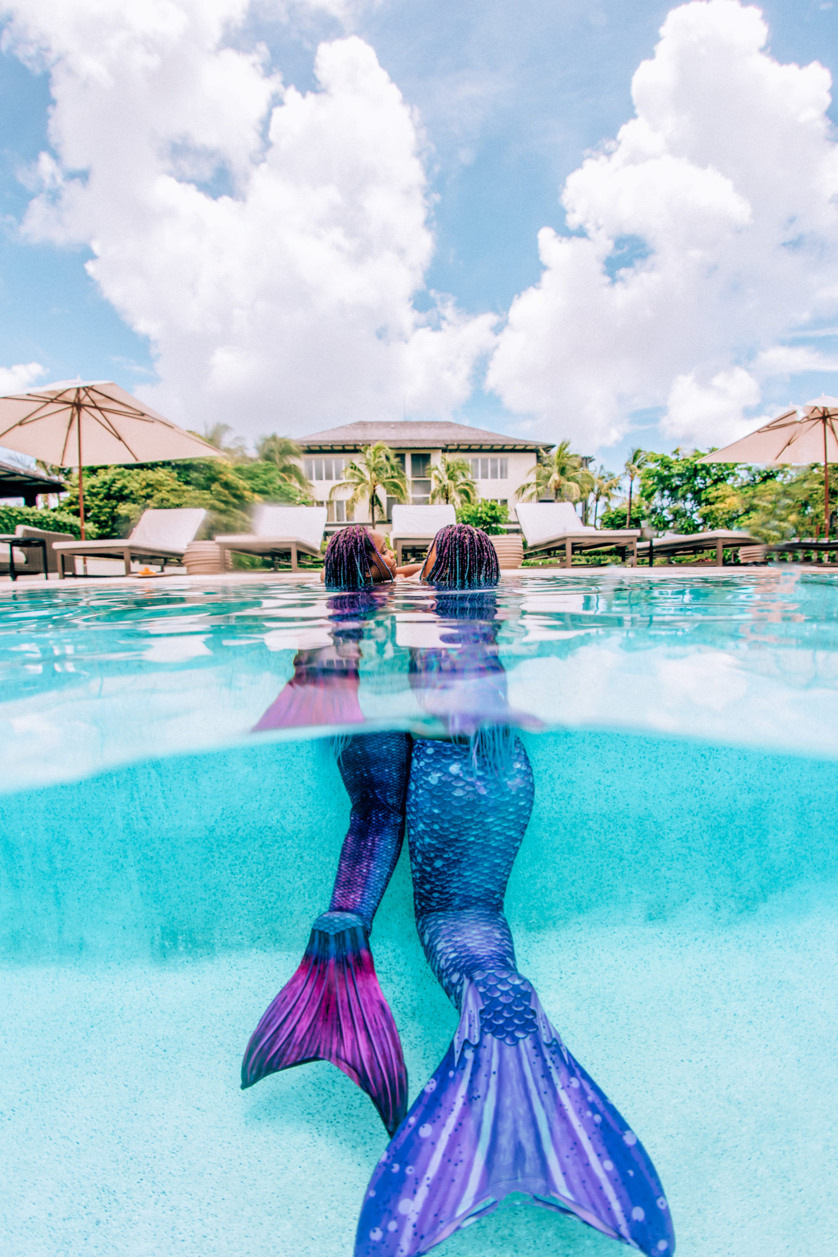 Bahamas Mermaids