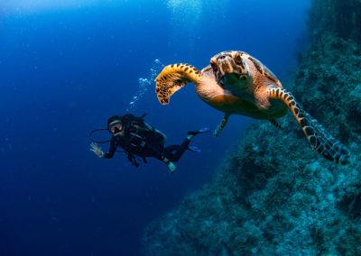 Scuba Diving Bahamas